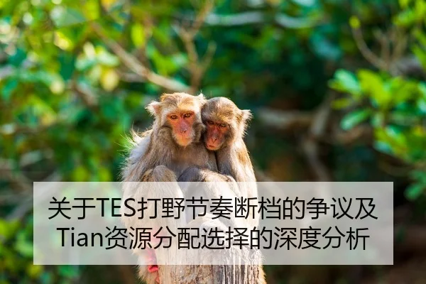 关于TES打野节奏断档的争议及Tian资源分配选择的深度分析