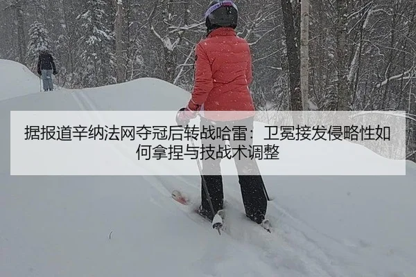 ju-bao-dao-xin-na-fa-wang-duo-guan-hou-zhuan-zhan-ha-lei-wei-mian-jie-fa-qin-lve-xing-ru-he-na-nie-yu-ji-zhan-shu-tiao-2-220.jpg