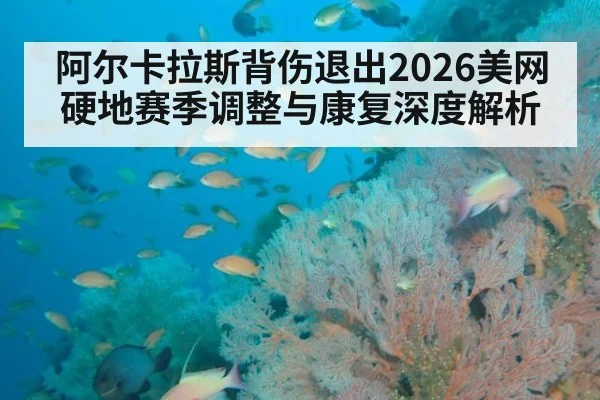 阿尔卡拉斯背伤退出2026美网 硬地赛季调整与康复深度解析