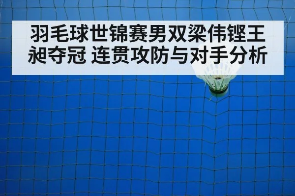 羽毛球世锦赛男双梁伟铿王昶夺冠 连贯攻防与对手分析