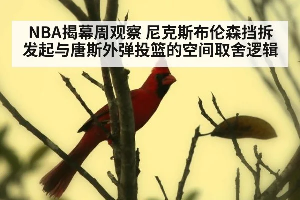 NBA揭幕周观察 尼克斯布伦森挡拆发起与唐斯外弹投篮的空间取舍逻辑